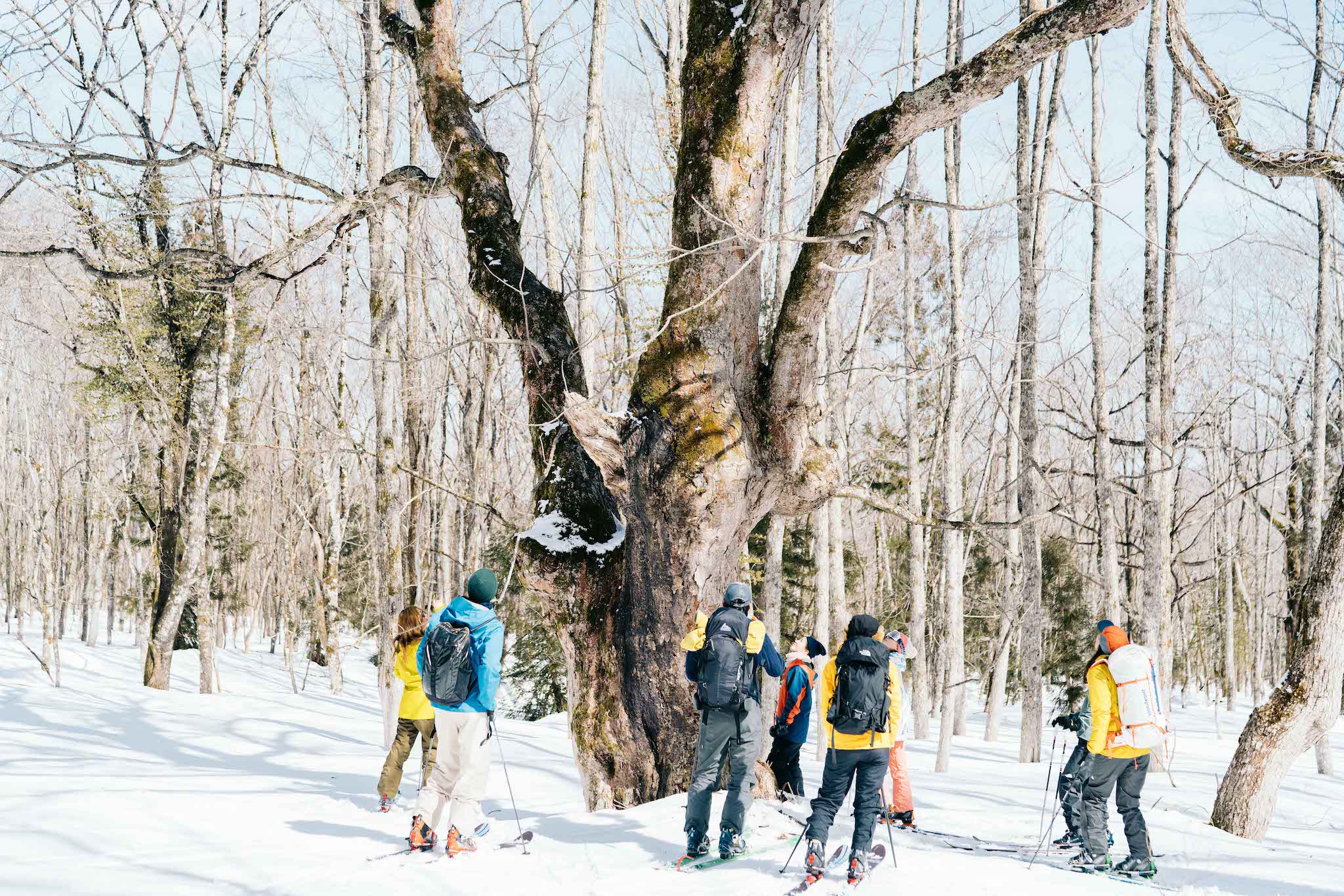 「遊学キャンプ2021年冬 in 長野県・戸隠」開催レポート